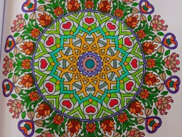 whatsapp bild 2024-07-24 um 12.22.19_404f8640